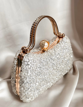 Saphir shine bag (012)