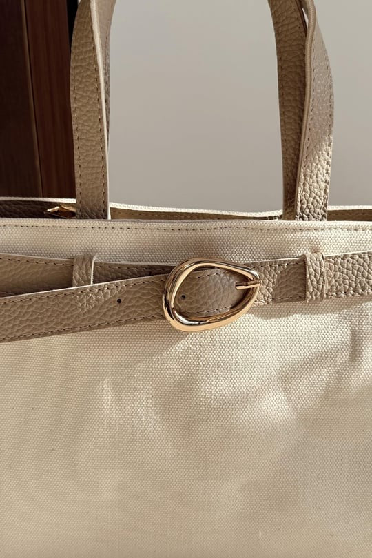 Sia canvas  bag (007)
