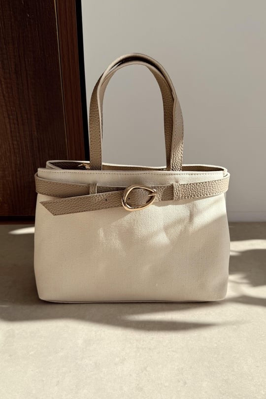 Sia canvas  bag (007)